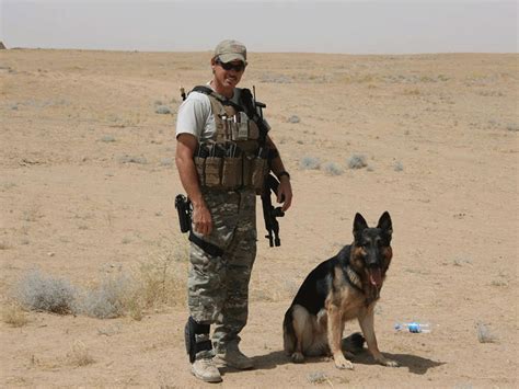 American standard k9. Things To Know About American standard k9. 